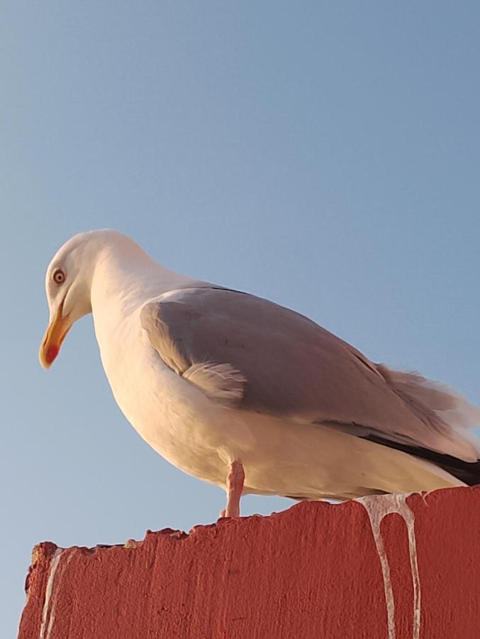 Superbe Vue Mer... Au Calme Ault Buitenkant foto